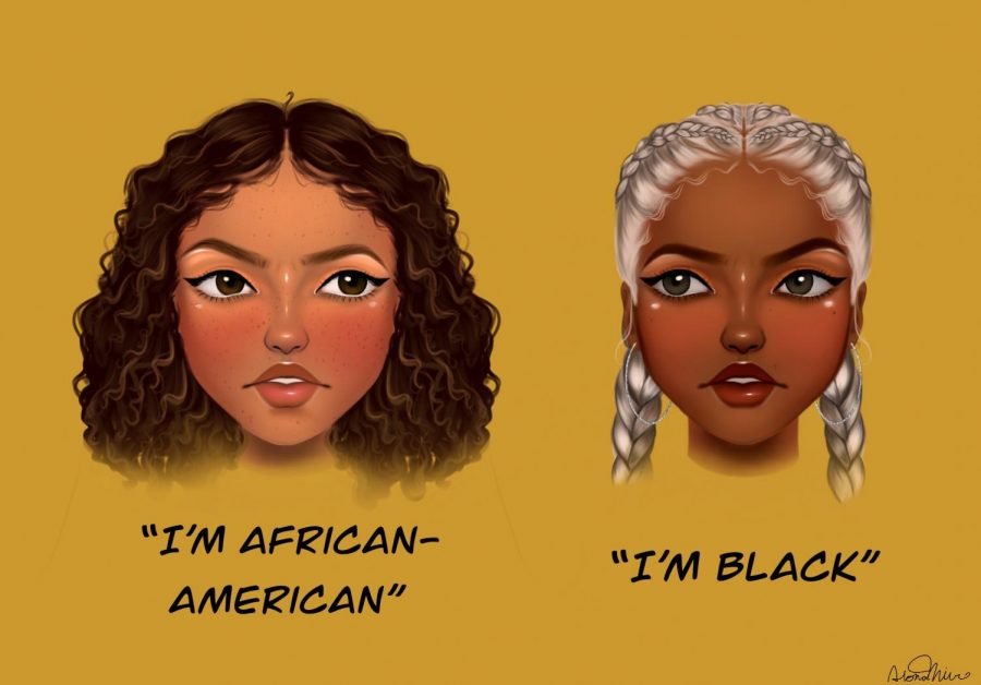 Black vs African-American Art - Feature