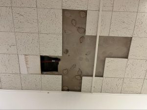 The hallway ceiling of outside Room 206 contains visible water damage and holes