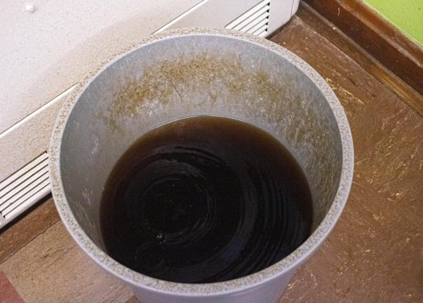 A trash can collects brown liquid that drips from the Shaker Writing Center ceiling. Custodians empty the can periodically and replace it. The leak began last year and returned about five weeks ago. 