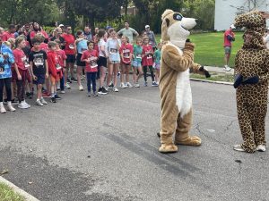 Participants line up on Aldersyde Drive behind the Mercer Elmentary School Meekat and the Onway Elementary School Giraffe, awaiting the start of the inaugural Raider Run Oct. 11.  
