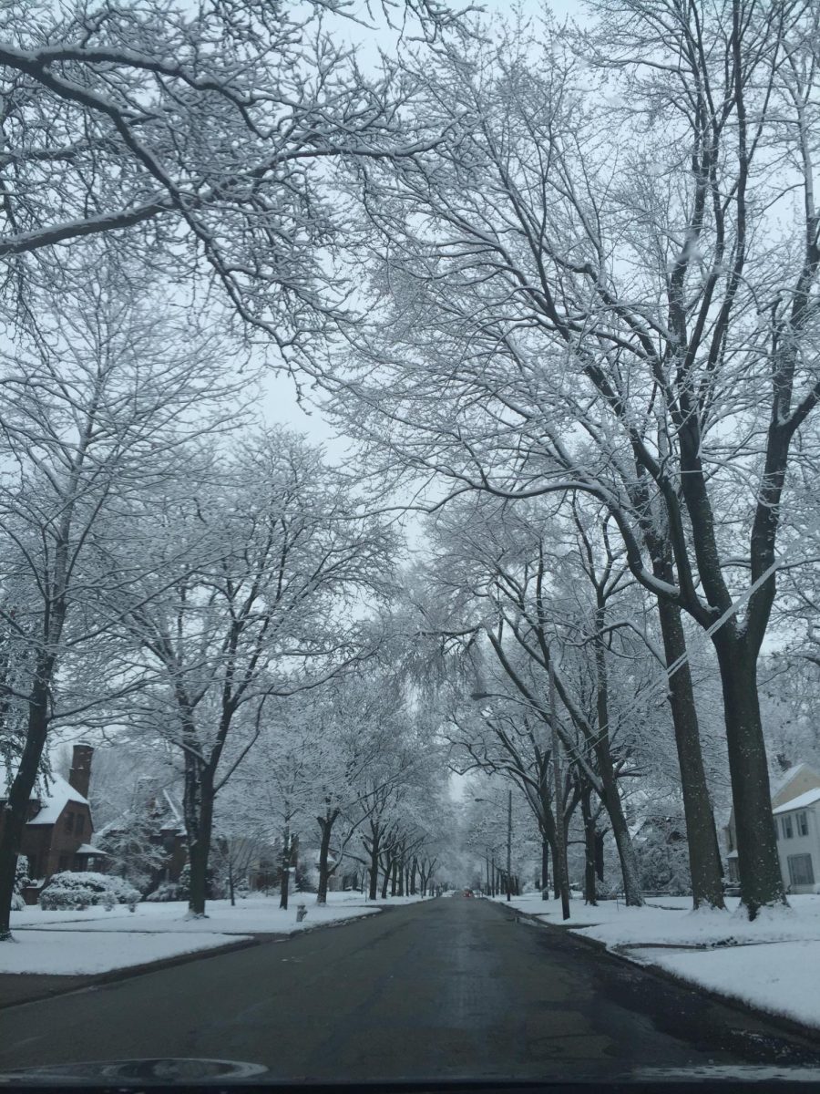 Seven and a half inches of snow were recorded Friday, breaking Cleveland’s Jan. 15 record set in 2004. Over the weekend, there were two snow squalls — one on Jan. 17, the other on Jan. 19 — and a total snow accumulation of about 12 inches. 
