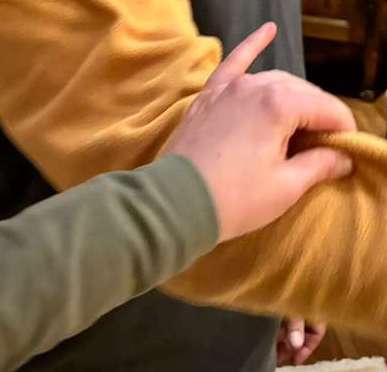 Wear Green, or Accept the St. Patrick's Day Pinch